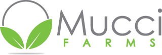 Mucci
